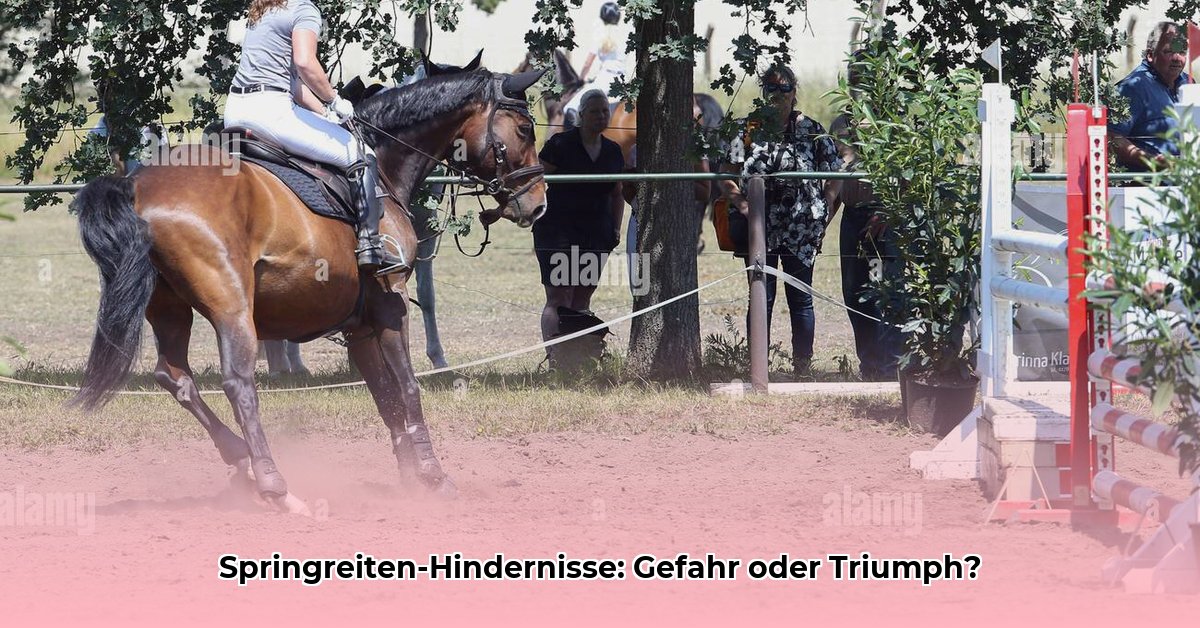 hindernis-beim-springreiten